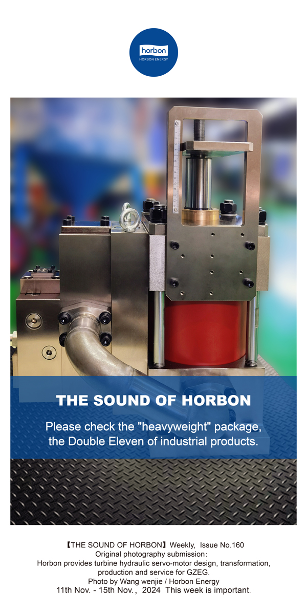 【和之声】请查收“重量级”包裹，，，工业品的双十一。。。(总第160期）-2024.11.11-11英文改小季度推送用.jpg