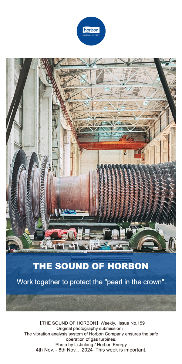 【和之声】合技协力，，，守护“皇冠上的明珠”。。。-(总第159期）-2024.11.4-11-英文改小季度推送用.jpg